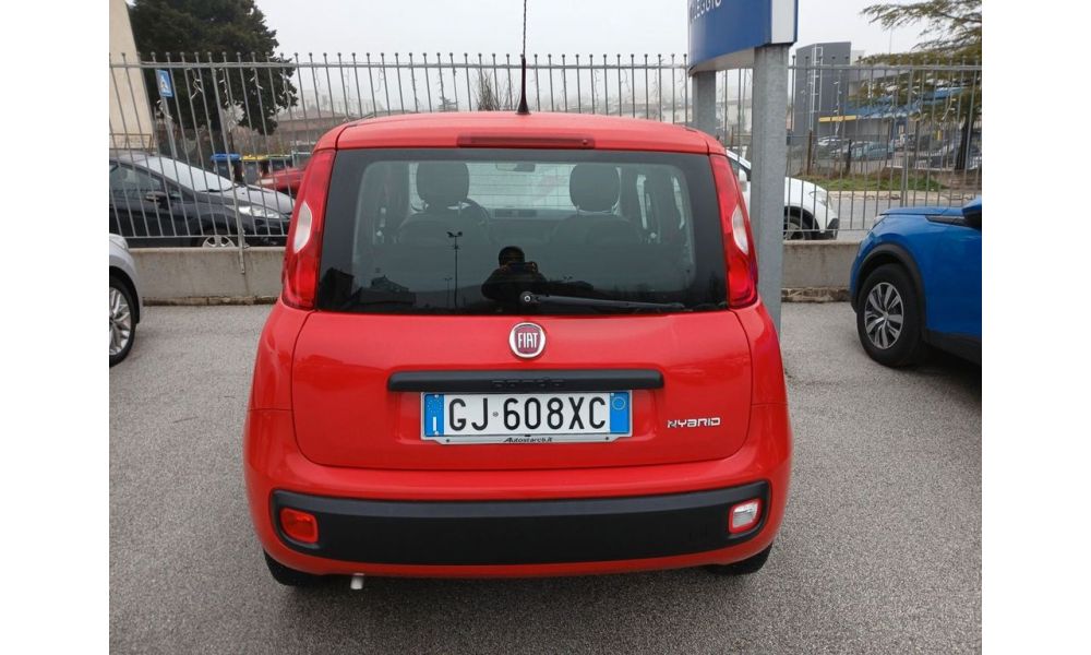 264517