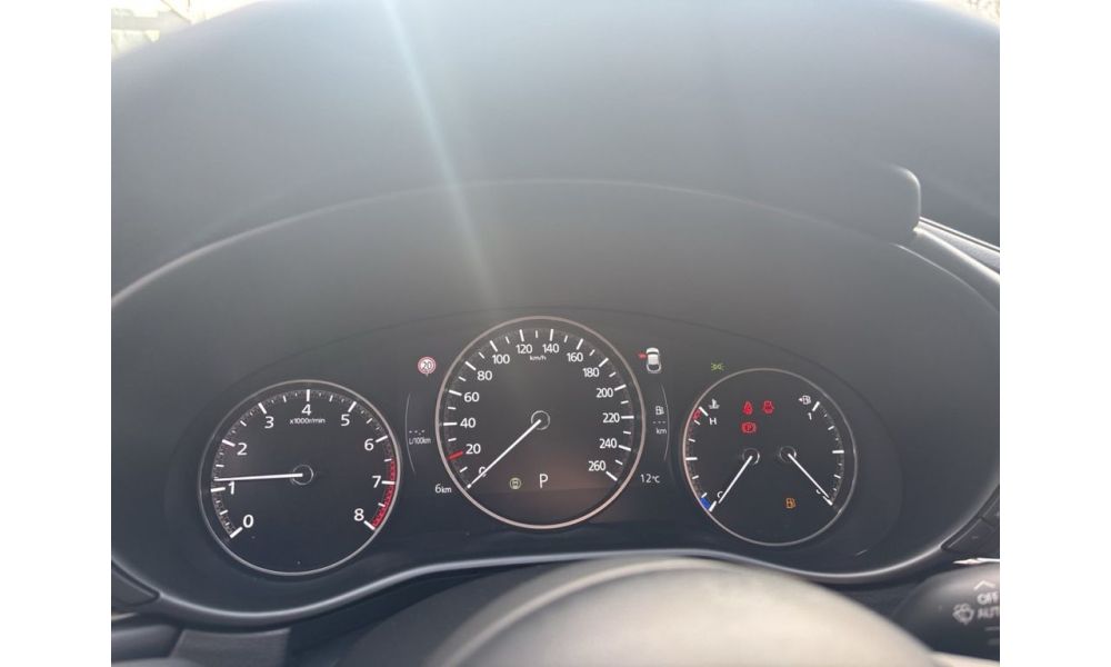 23310