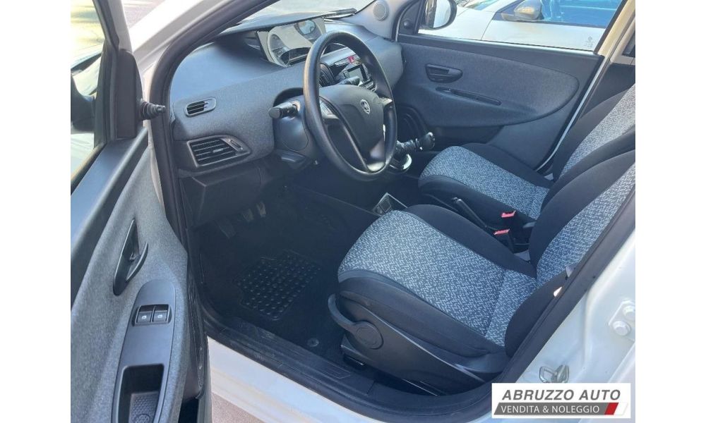 49233