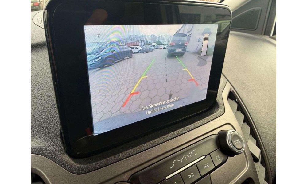 116273