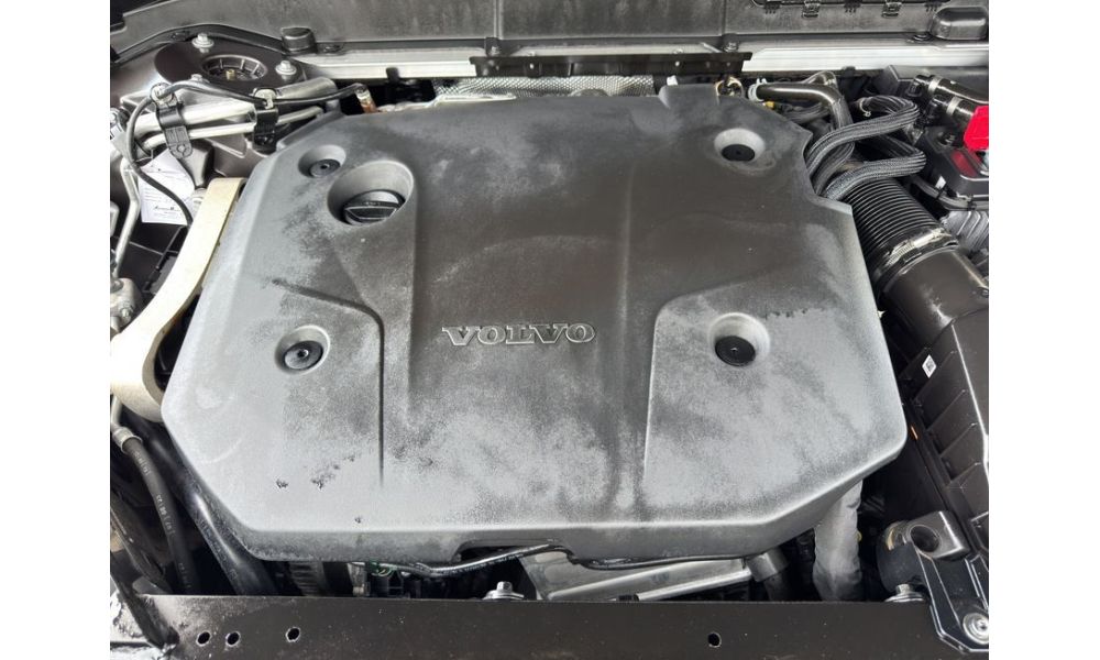 295068