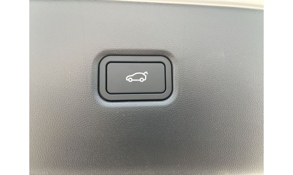 238982
