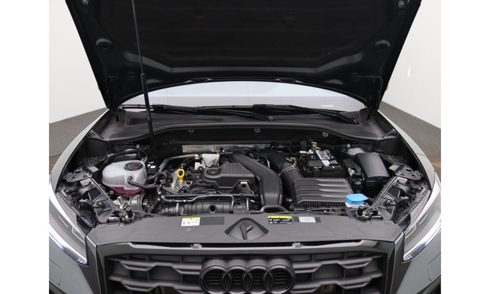278506