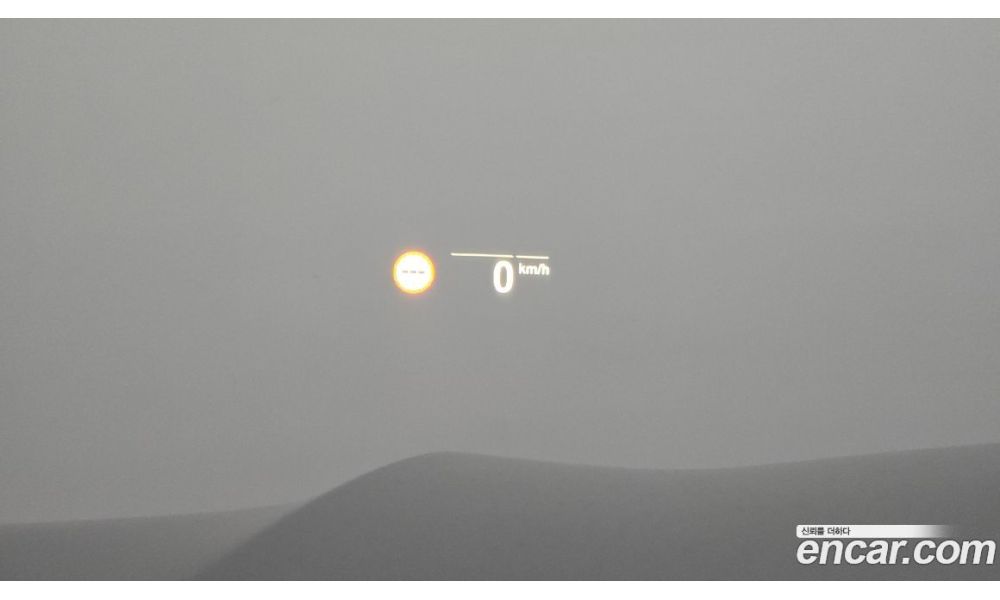 203021