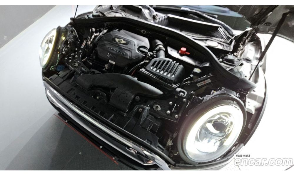 564481