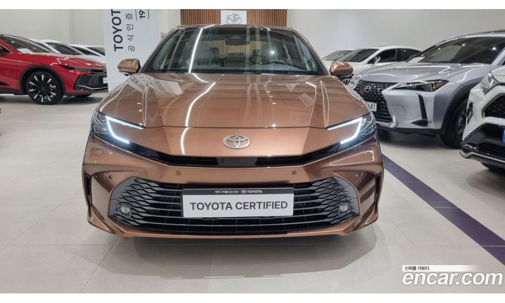 294719