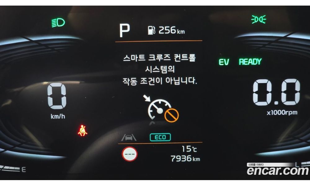 273206