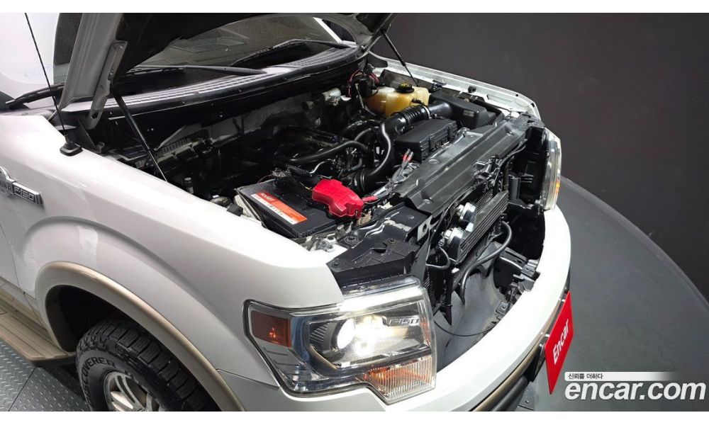 54781