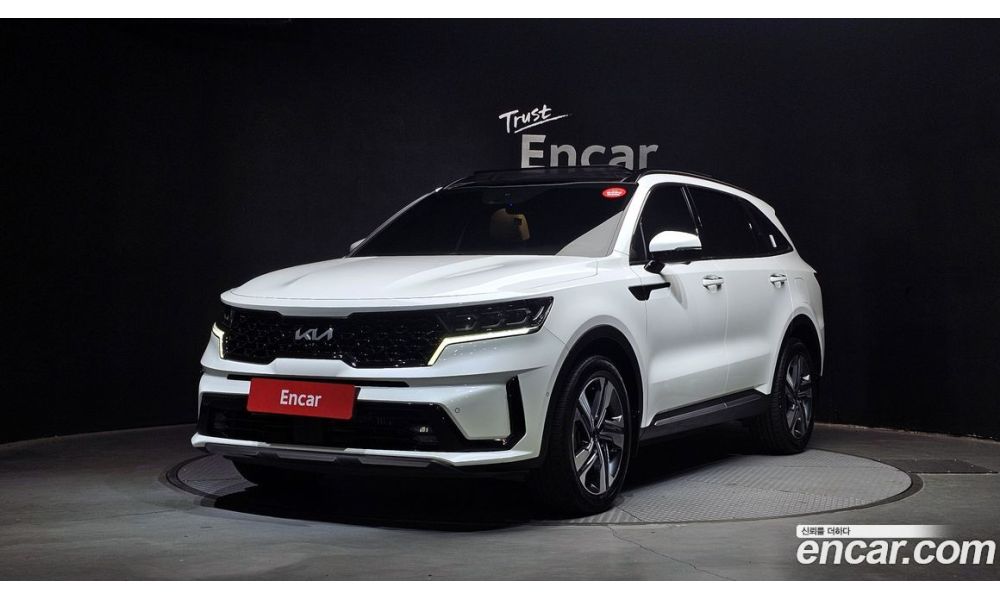 249446